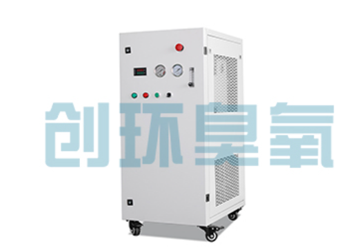 浙江石斑鱼养殖水质调控完整指南:臭氧发生器配置与操作步骤