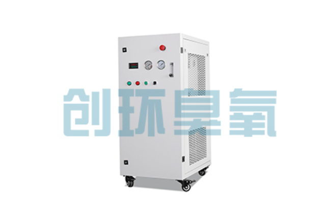 浙江比传统换水更高效?臭氧发生器在石斑鱼养殖中的水质净化原理解析