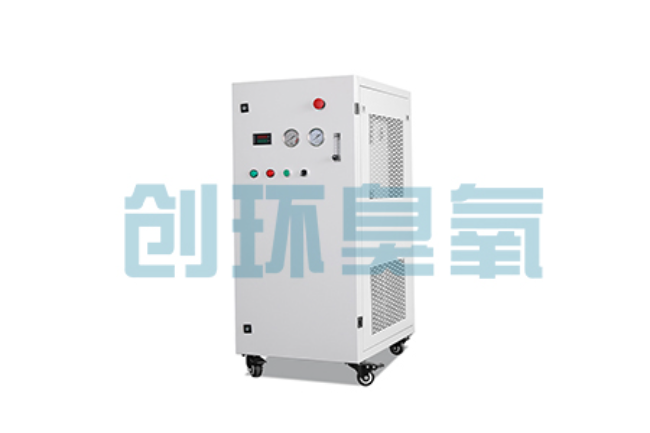 浙江比传统换水更高效？臭氧发生器在石斑鱼养殖中的水质净化原理解析